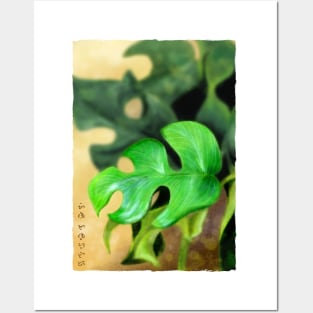 Mini Monstera - White Posters and Art